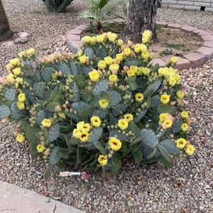 Meet your Posher, Martha